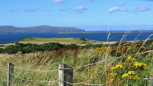 Autumn is coming, Skyeskyns, Waternish