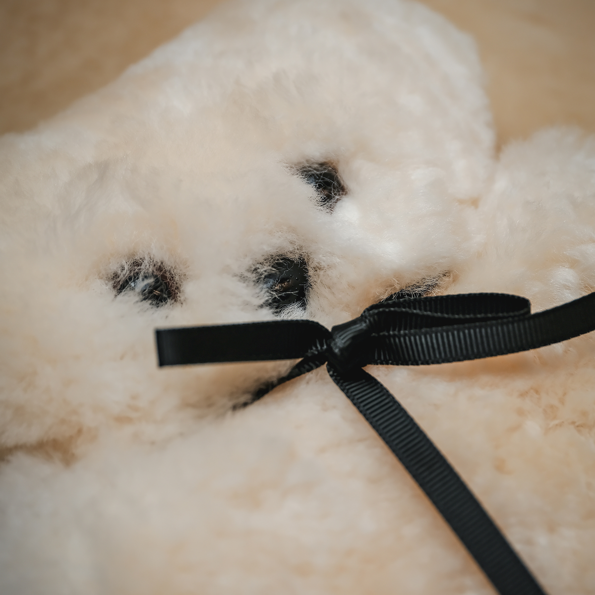 Baby Flatout Bear in Milk
