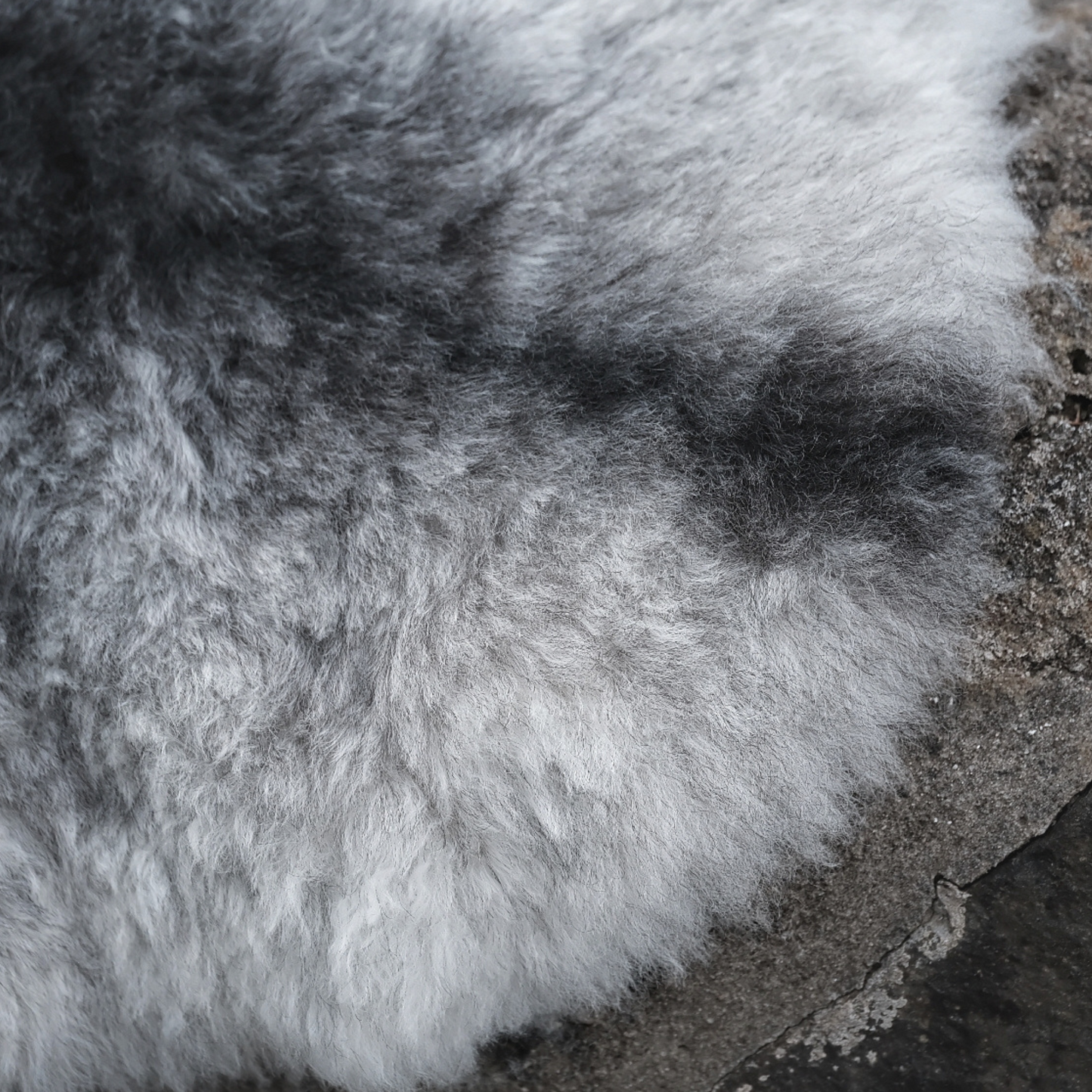ICELANDIC SHORN SHEEPSKIN RUG/THROW