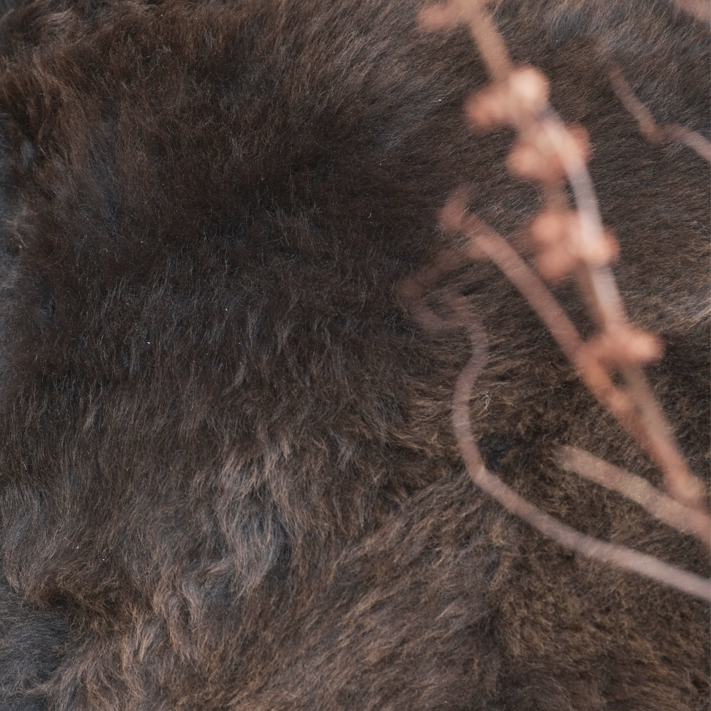 Tall Square Sheepskin Pouffe in Brown