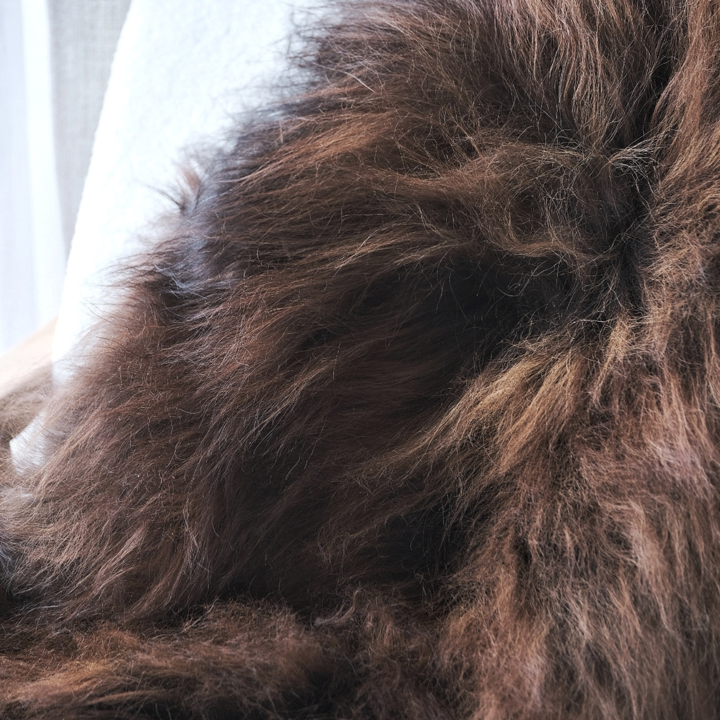 Icelandic Dark Rusty Brown SHEEPSKIN RUG / THROW