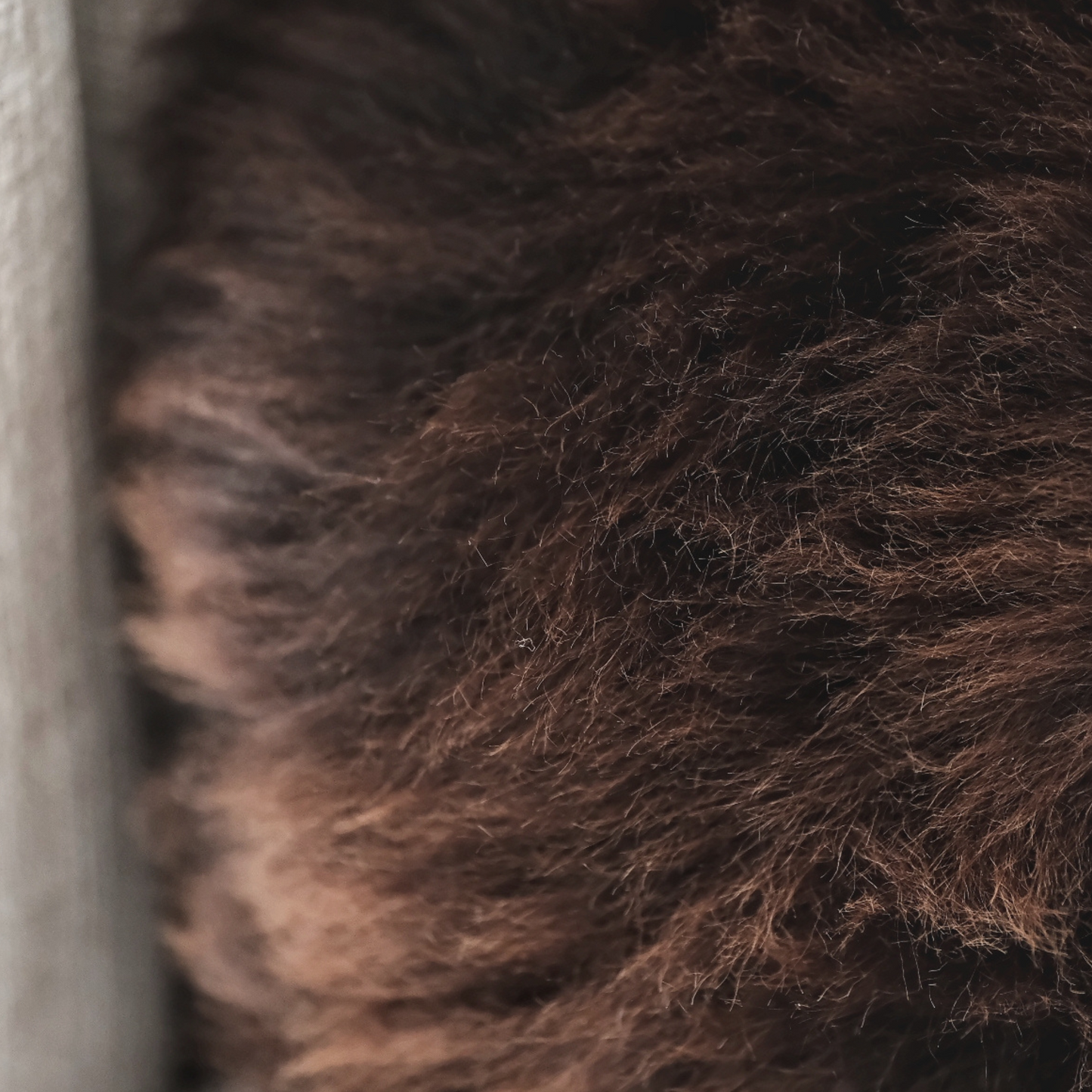 Large Sheepskin Snuggle in Brown