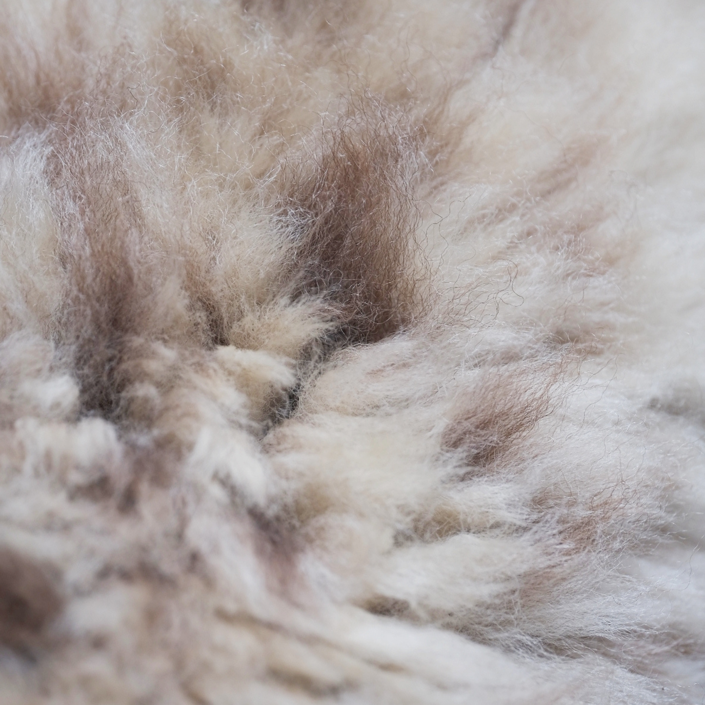 Stirlingshire Cappuccino Mimosa