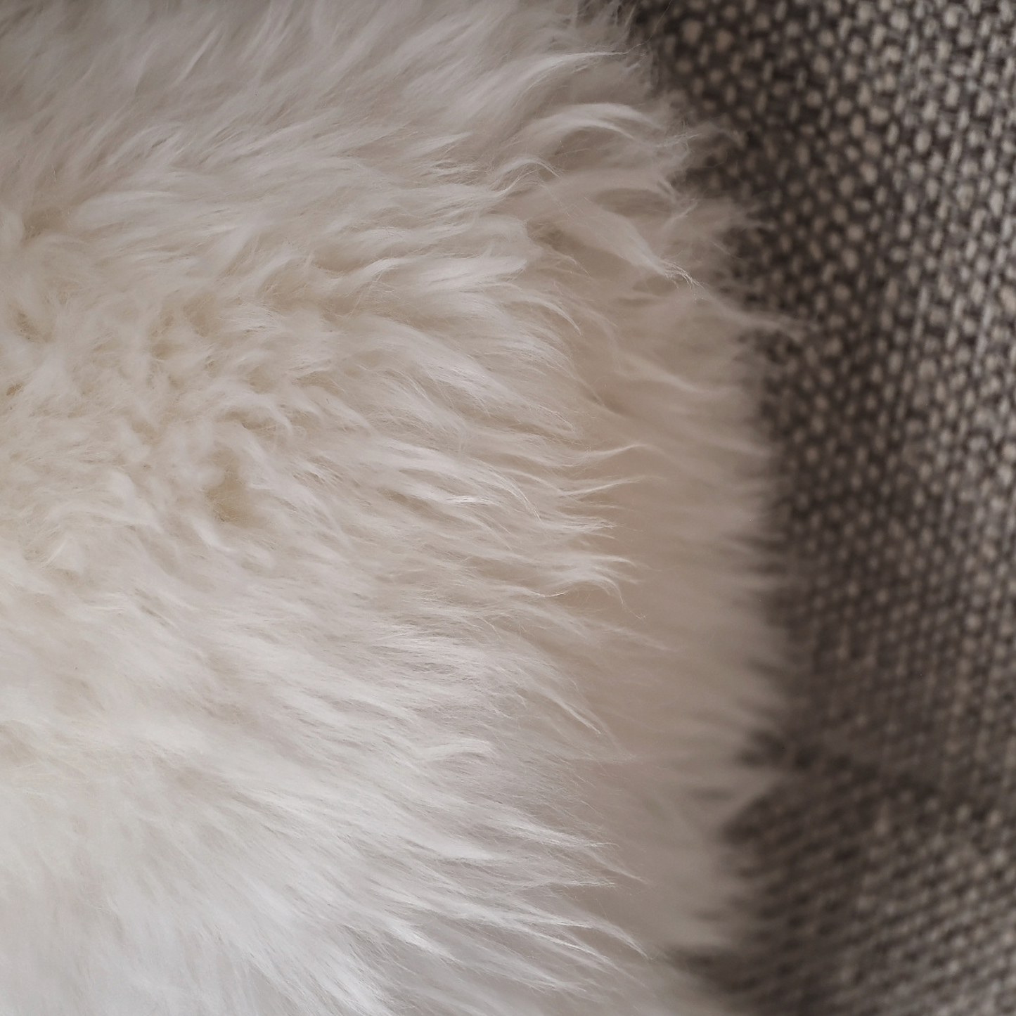 Small Sheepskin Snuggle in White
