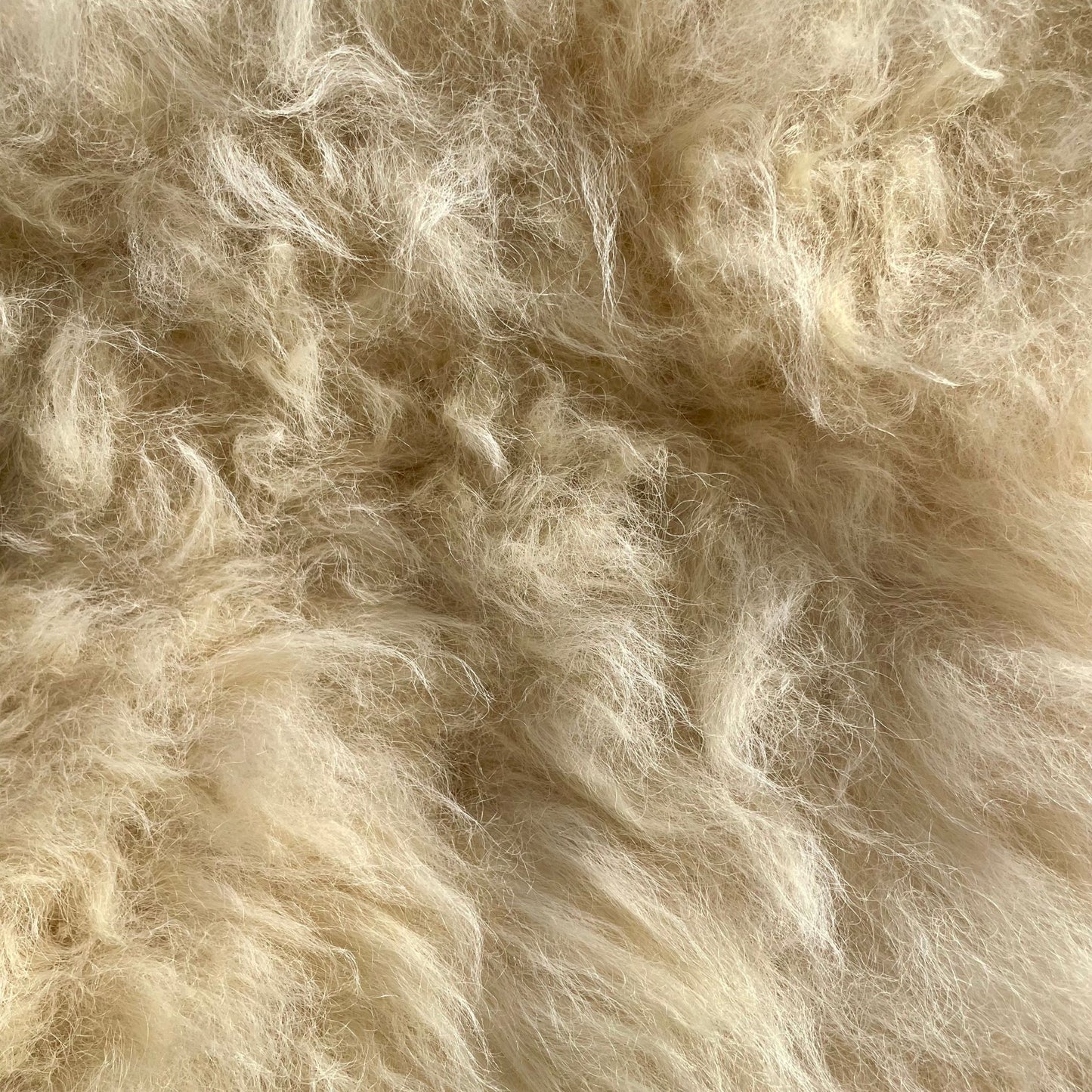 Cheviot Sheepskin (The Croft, Caithness)