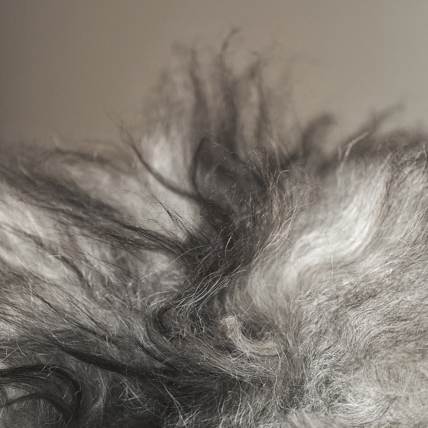 ICELANDIC NATURAL GREY SHEEPSKIN RUG / THROW