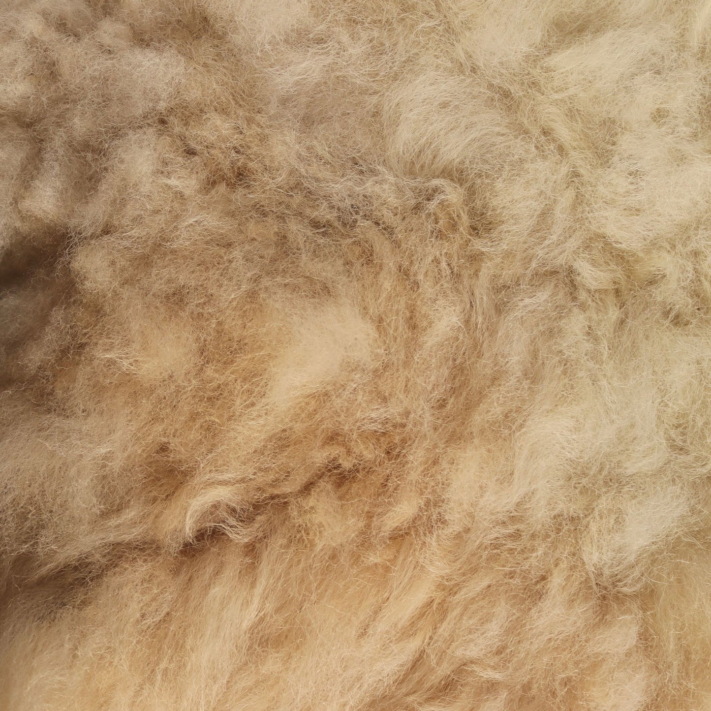 Cheviot Sheepskin (The Croft, Caithness)