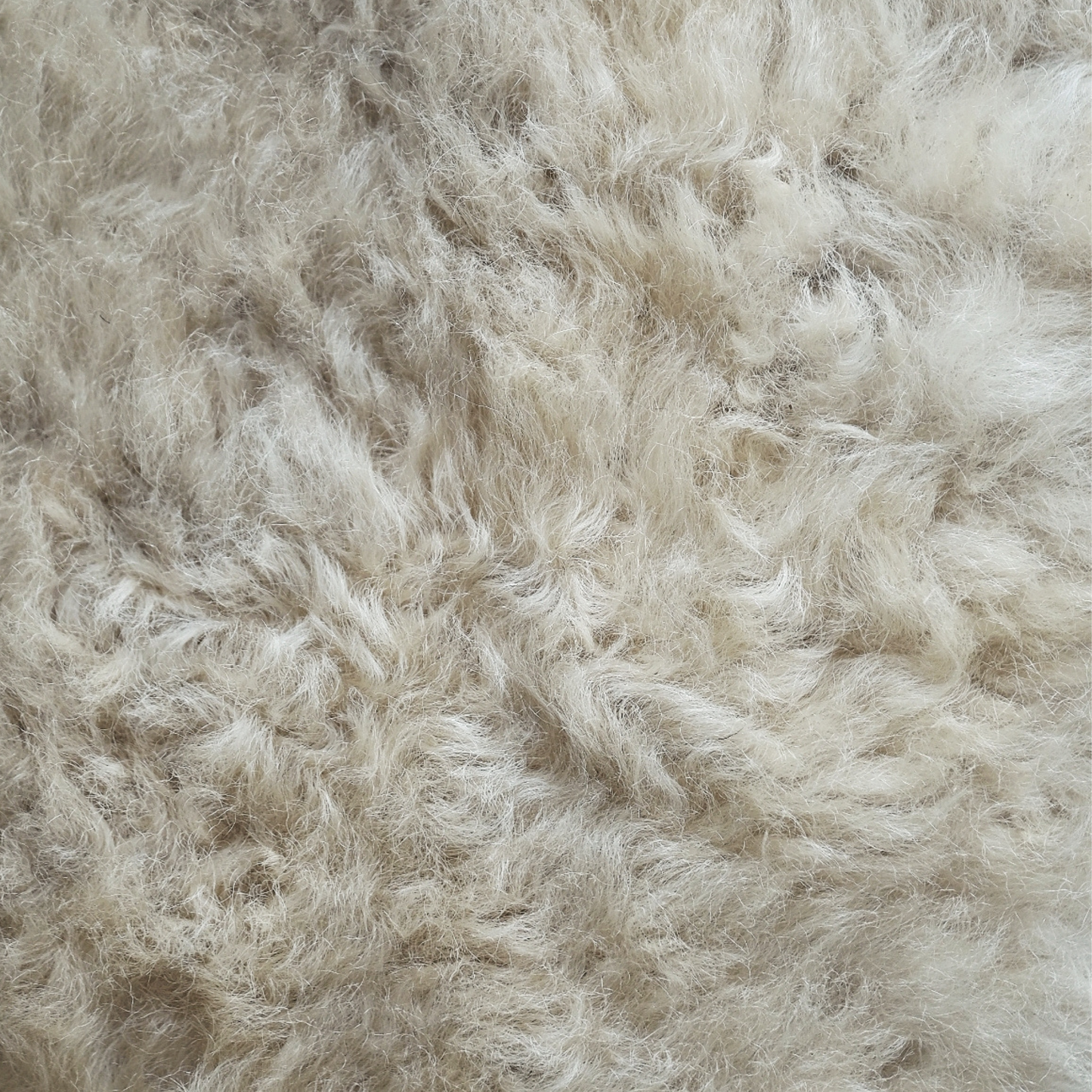 Mimosa Stirlingshire Large White