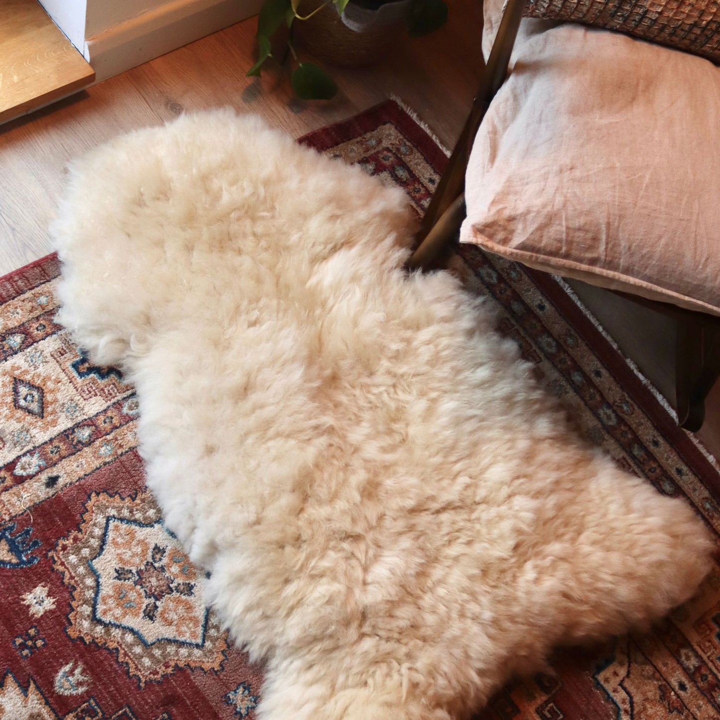 Cheviot Sheepskin (The Croft, Caithness)