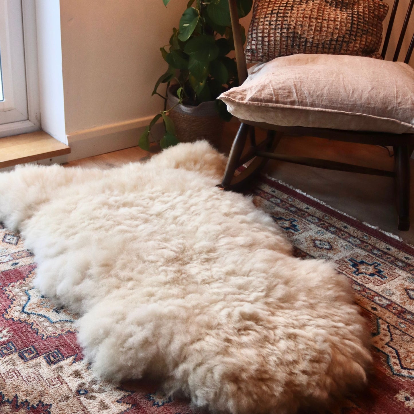 Cheviot Sheepskin (The Croft, Caithness)