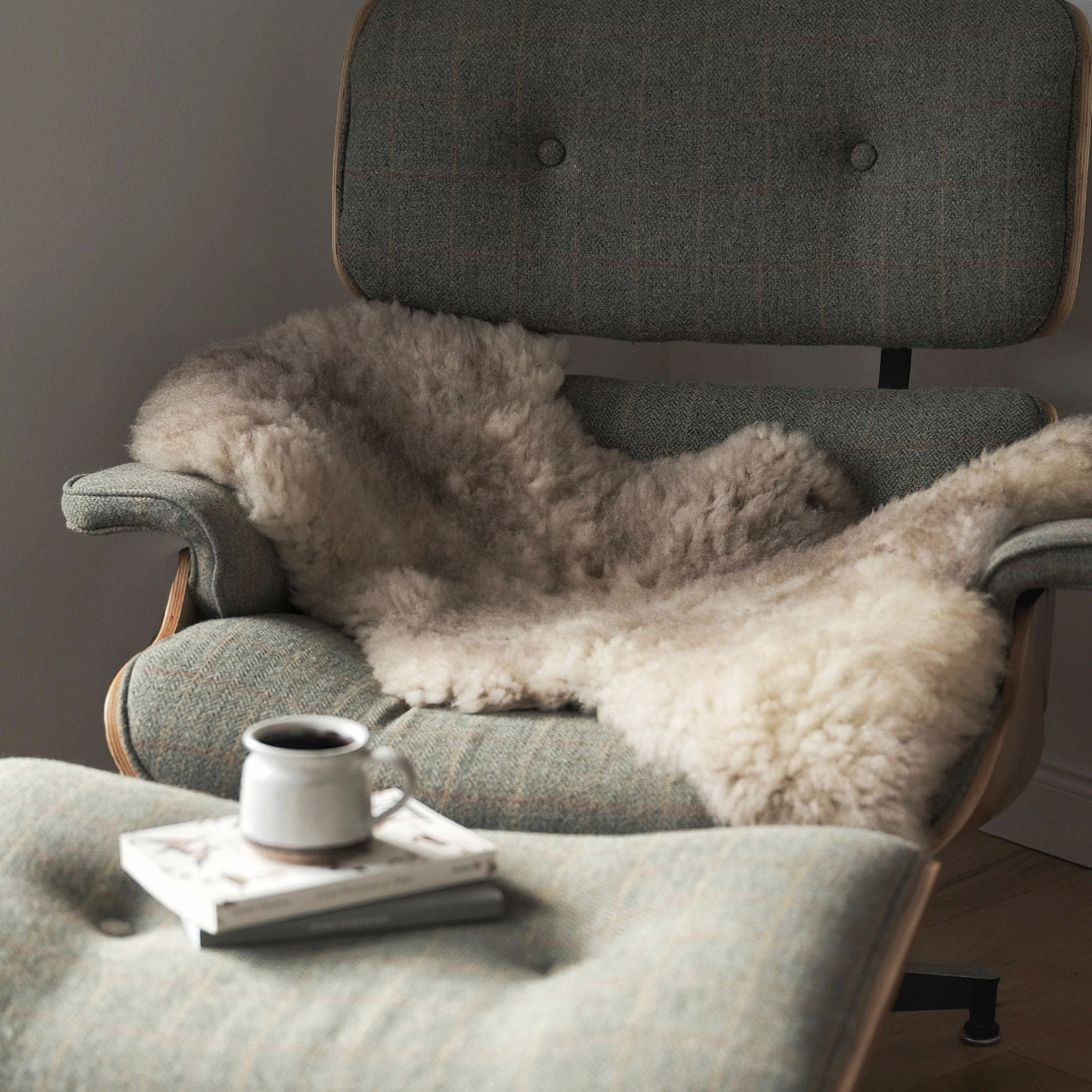 Mimosa Stirlingshire Spotted