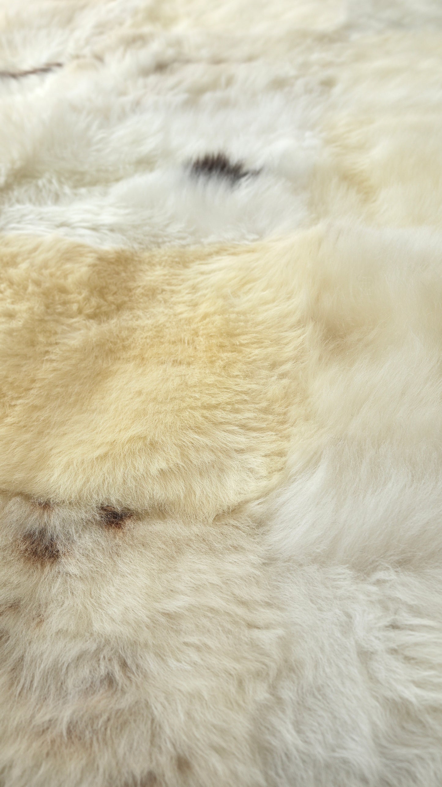 Cappuccino & White Checked Mosaic Sheepskin Rug - 6x4ft