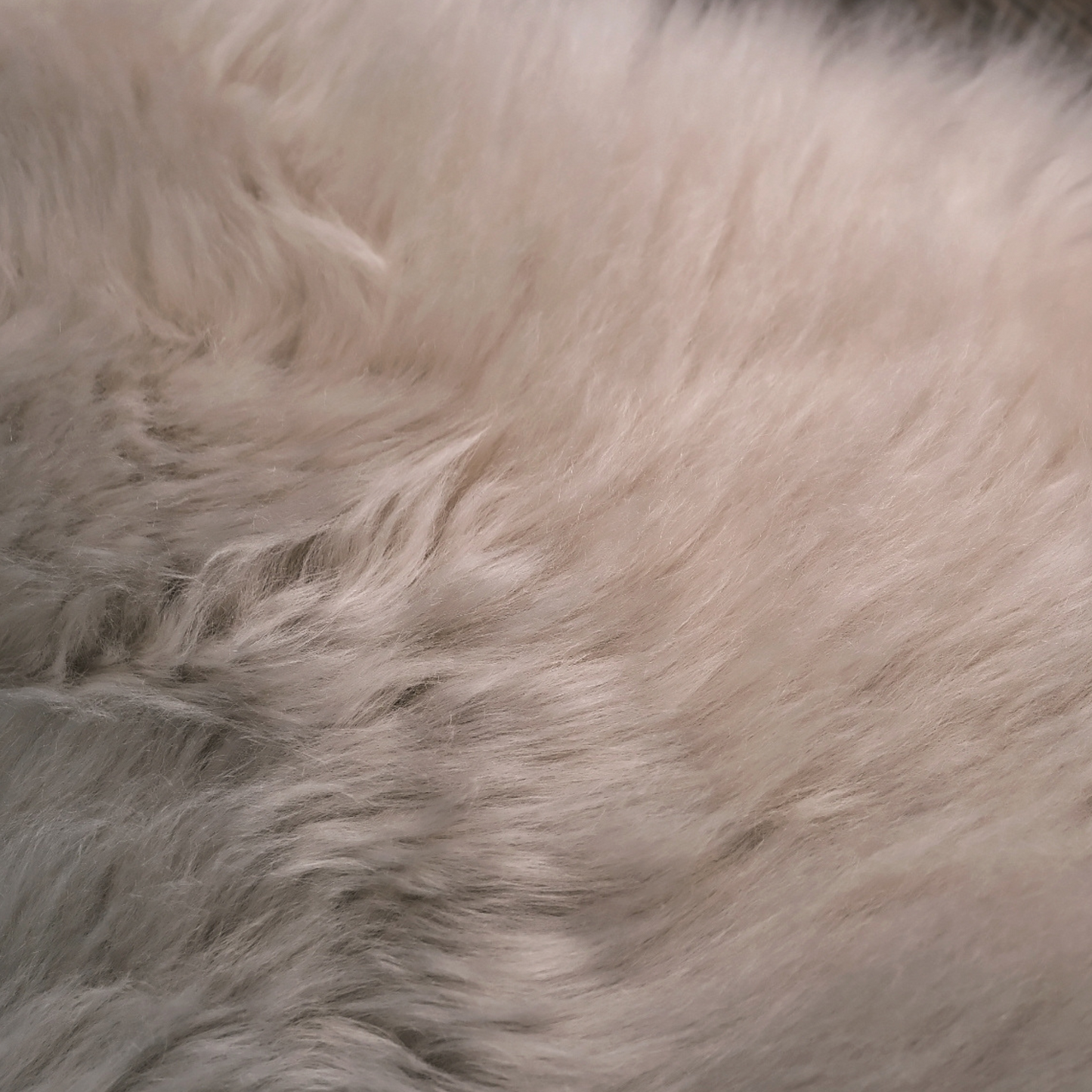 "LINEN" SHEEPSKIN RUG / THROW