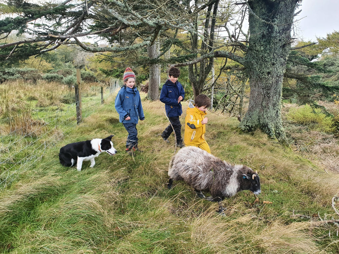 Children in woodland with sheep and dog