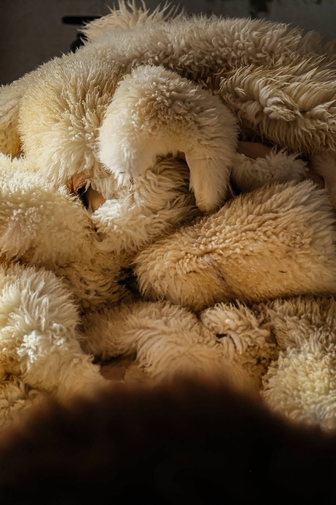 Why Natural Fibres Remain a Design Favourite