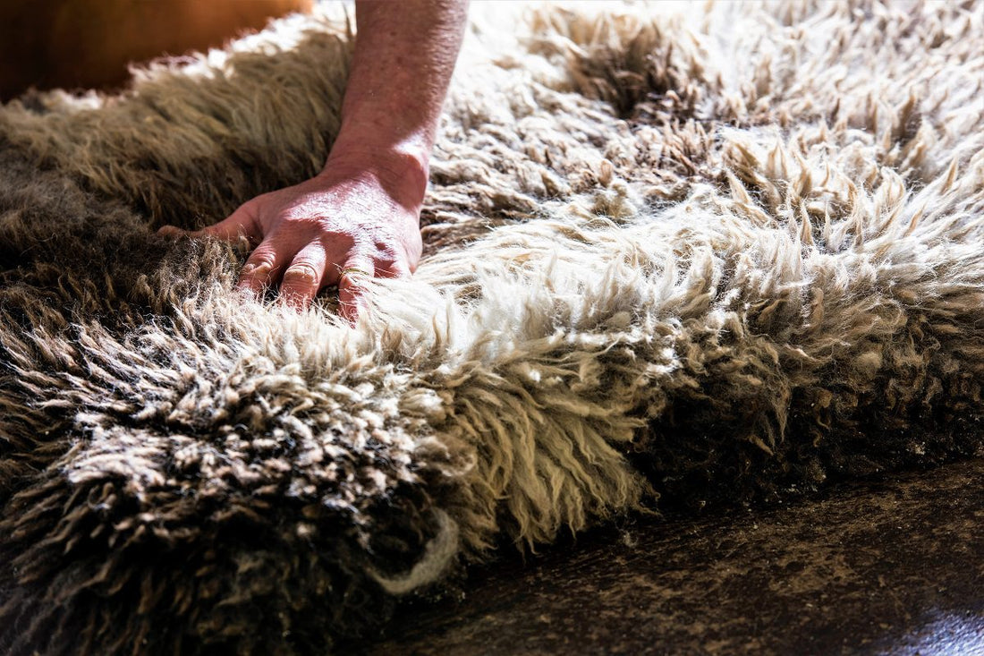 Tannery, working sheepskins, Skyeskyns