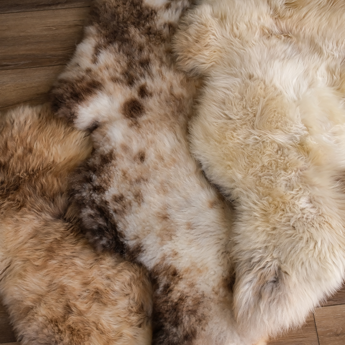 Cappuccino and Spot Sheepskins