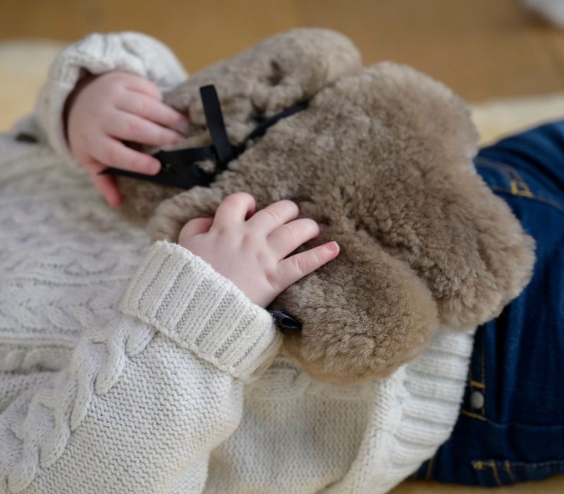 Sheepskin Bears