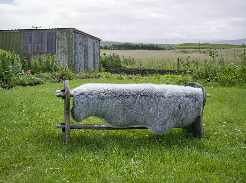 Dyed Sheepskin Rugs