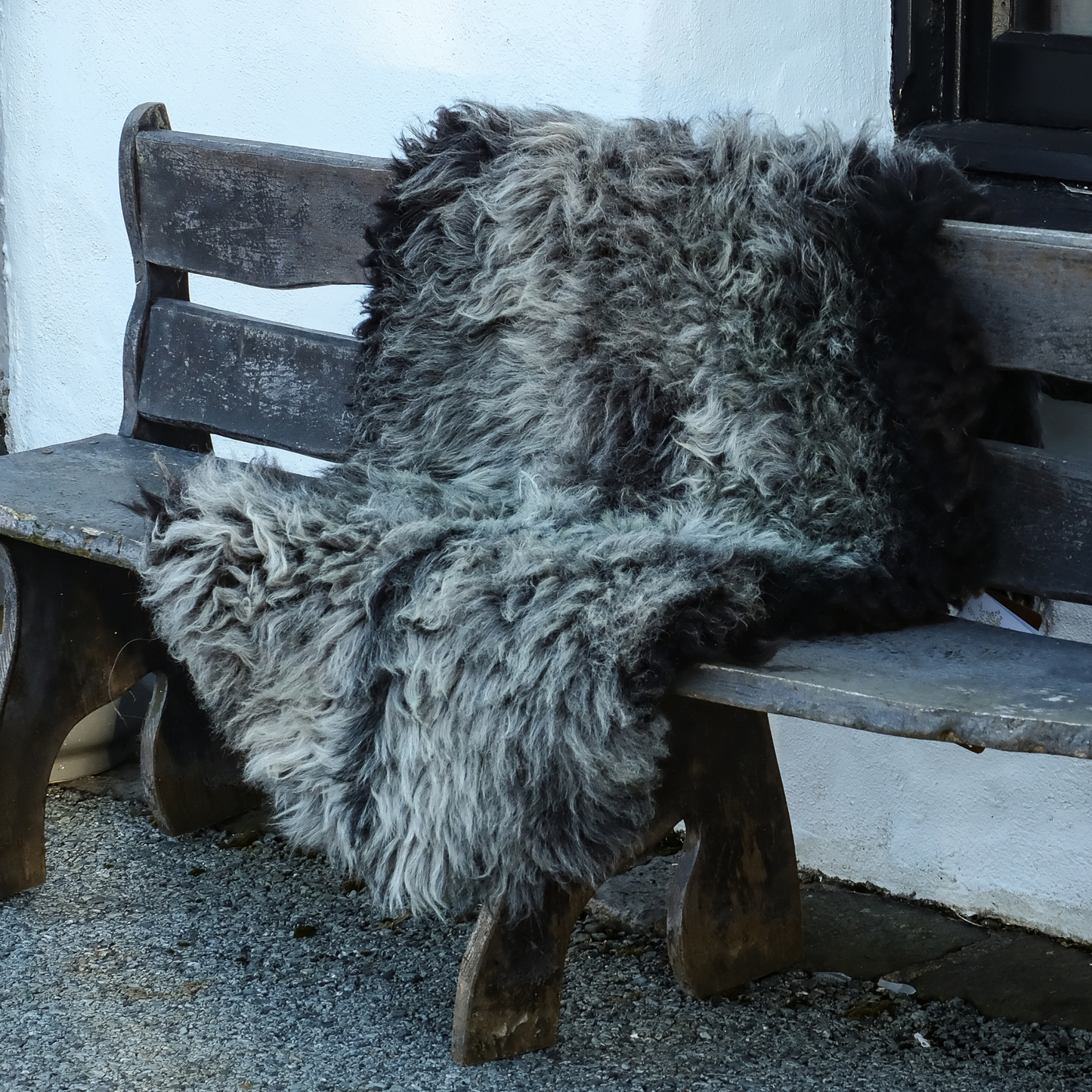 MIMOSA HERDWICK CROSS (TÙS - WATERNISH CROFT)