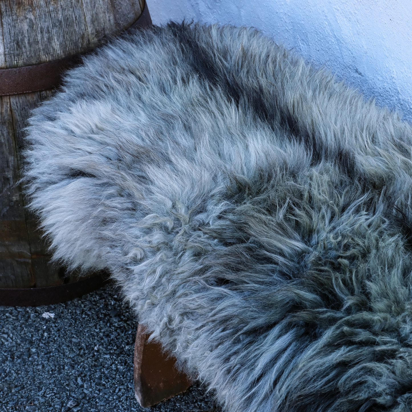MIMOSA GOTLAND CURLY GREY (TÙS - Kenmore Farm)