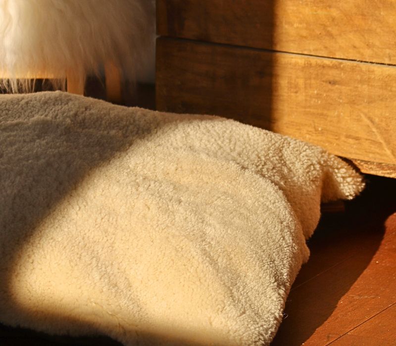 Floor Cushion in Cropped Cream Sheepskin