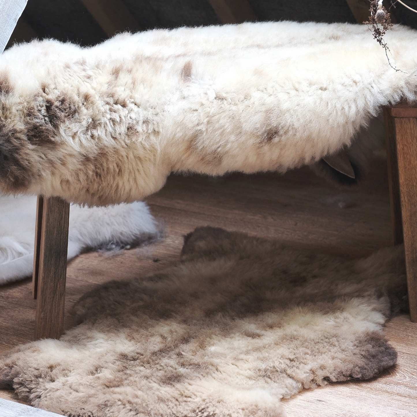 Stirlingshire Cappuccino Mimosa