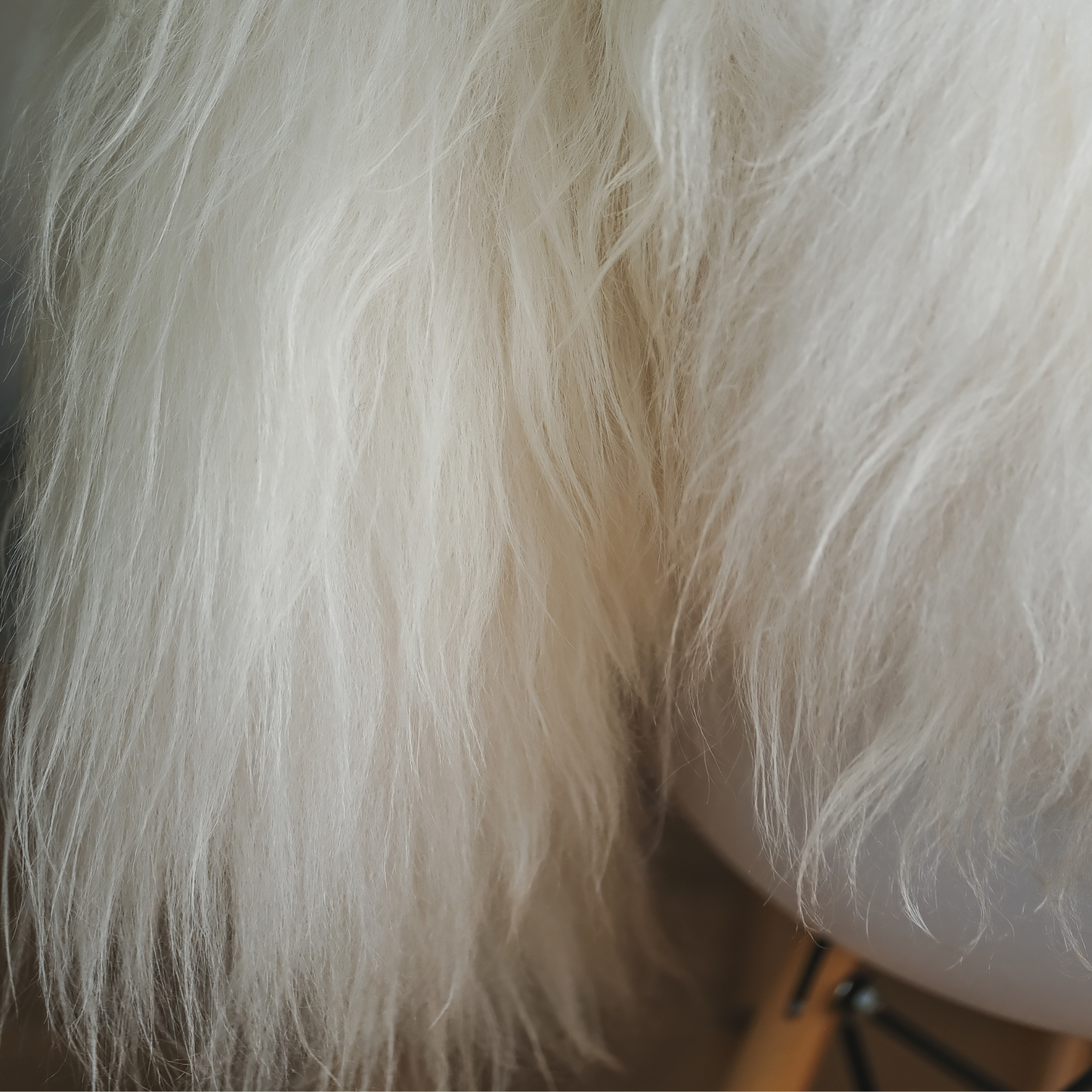 Icelandic White Sheepskin Rug / Throw