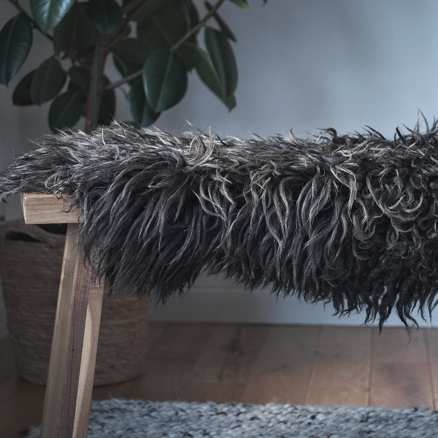 TÙS - Waternish Croft - The Gold