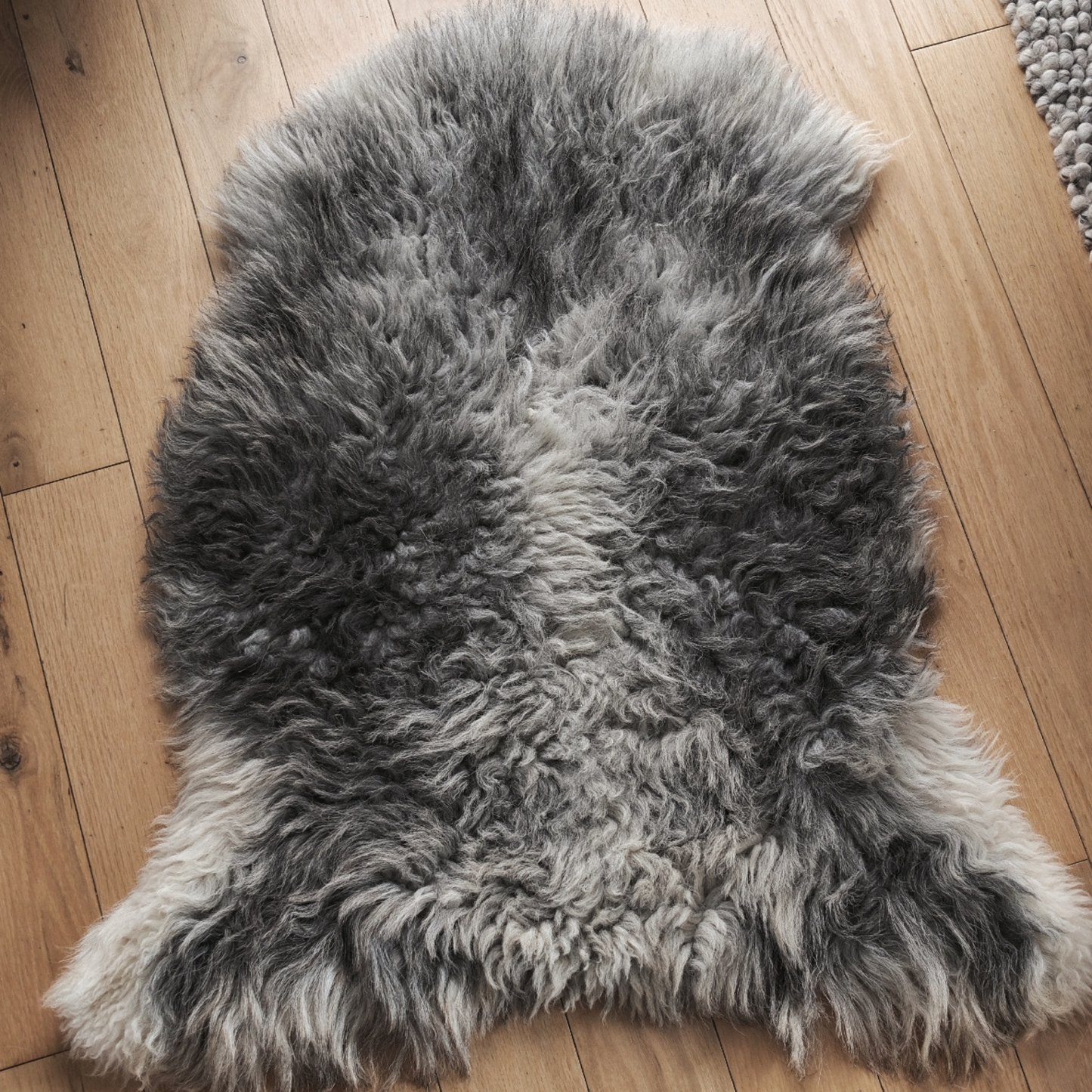 TÙS - Waternish Croft - The Grey