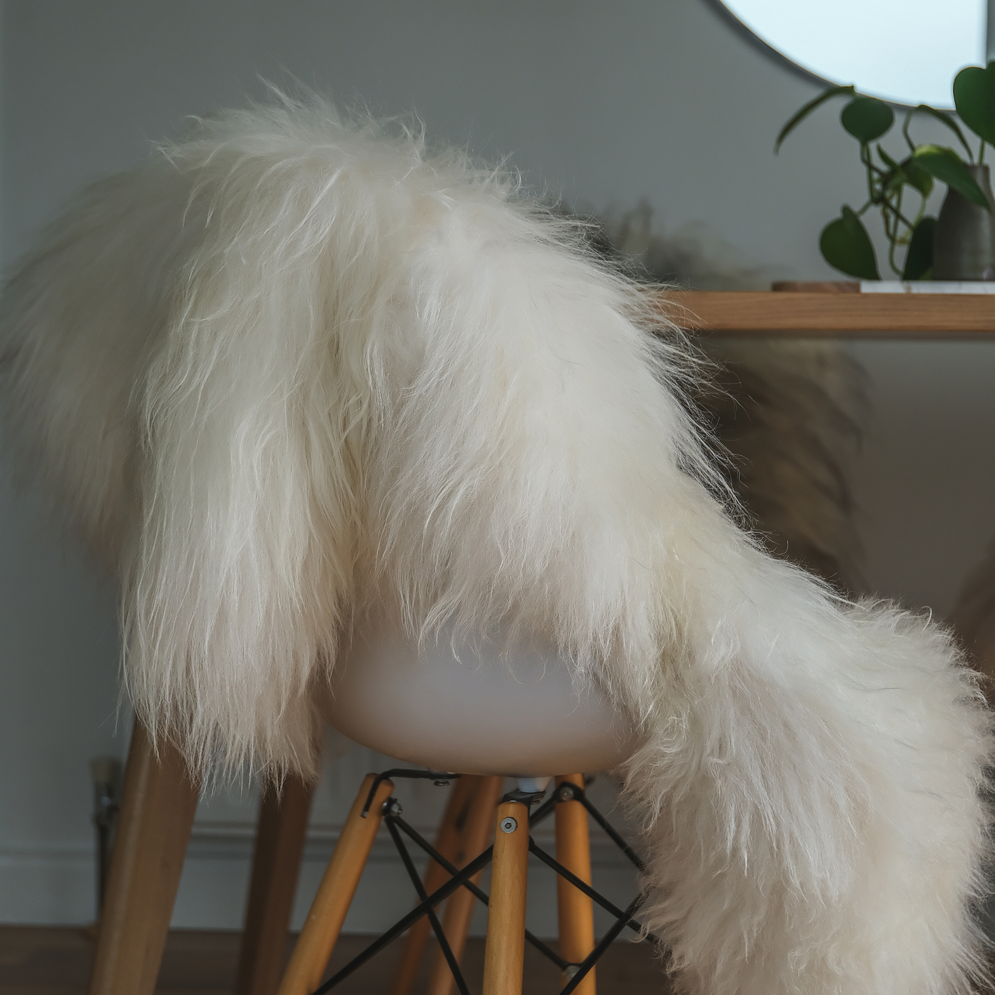 Icelandic White Sheepskin Rug / Throw