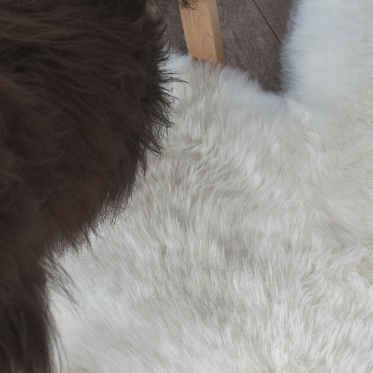 MERINO QUAD SHEEPSKIN RUG 185X105CMS