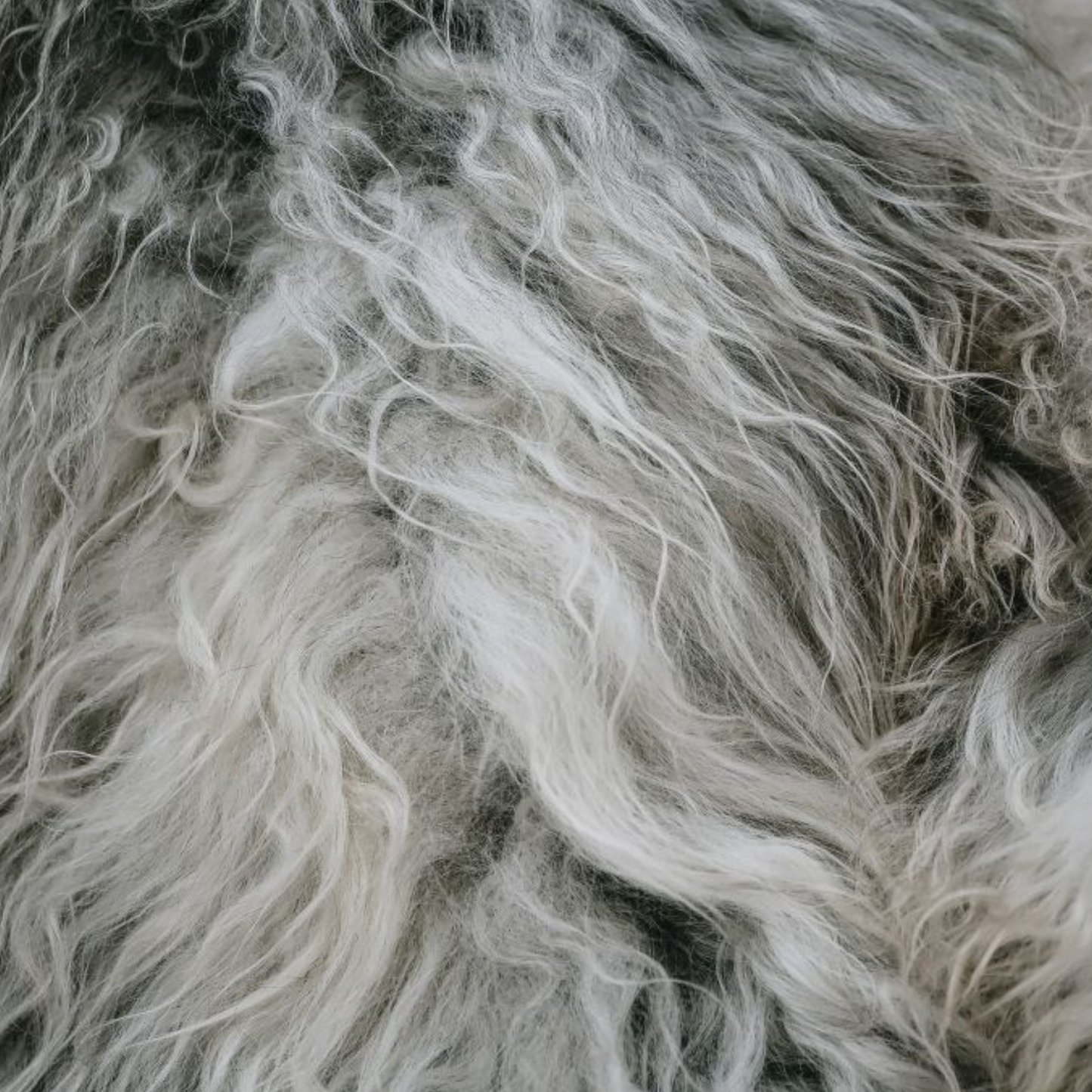 Light Norse XL Sheepskin Rug / Throw