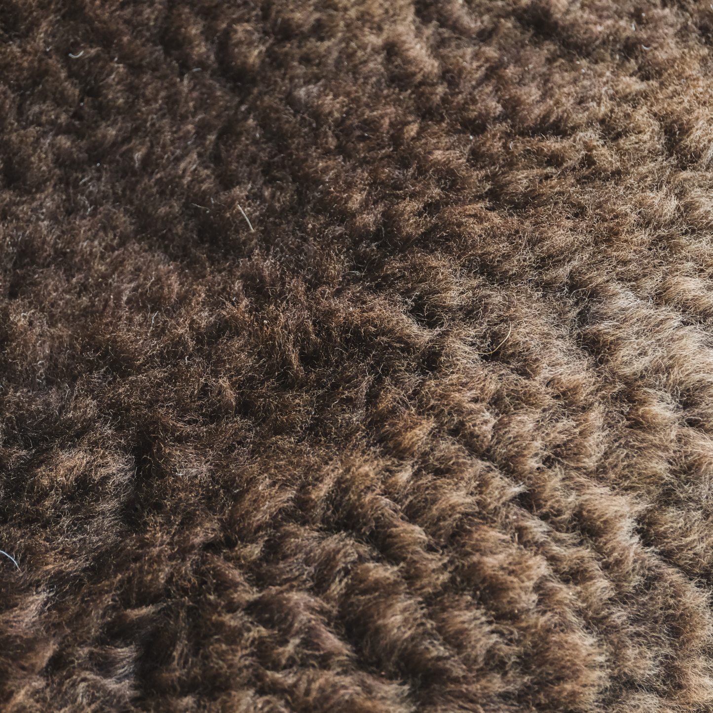 Mimosa Stirlingshire Medium Brown