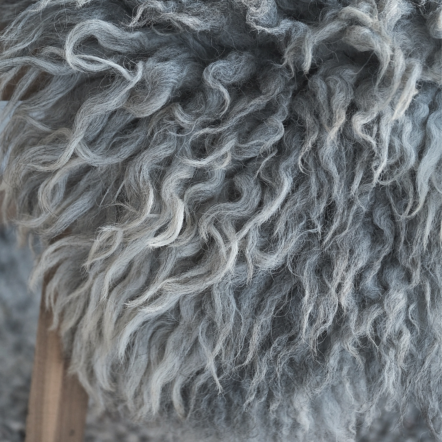 TÙS - Waternish Croft - The Highland