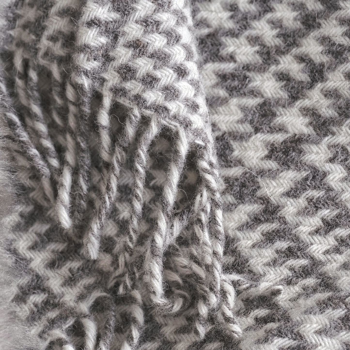 Jacob Blanket in Prince of Wales Check