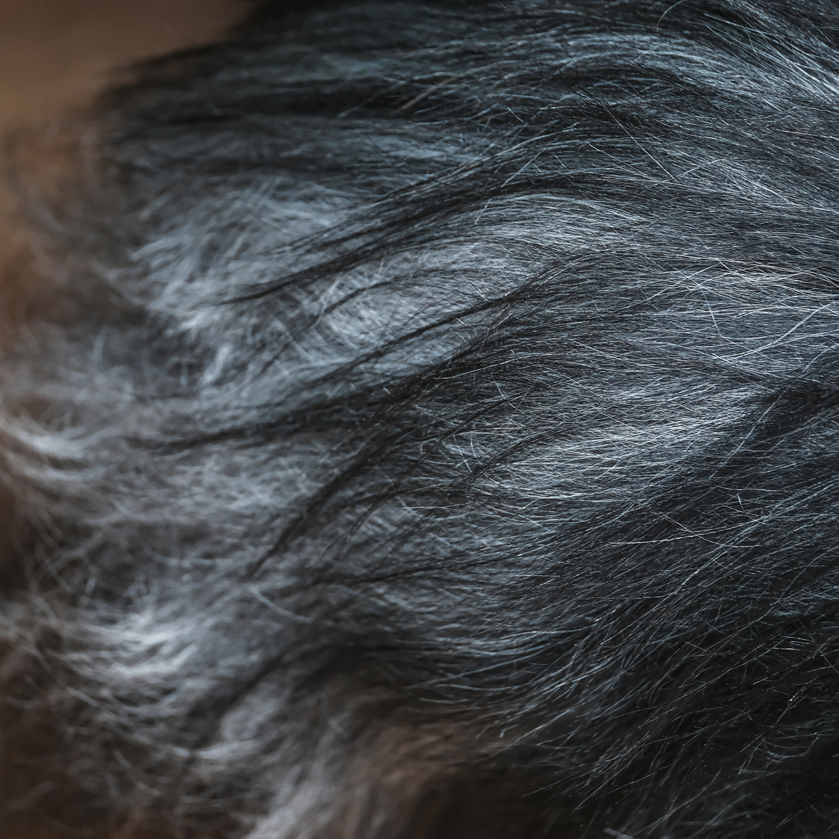 Icelandic Black Grey Sheepskin Rug / Throw