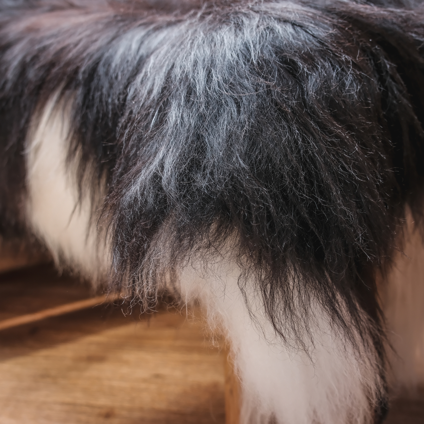 Icelandic Spot Sheepskin Rug / Throw