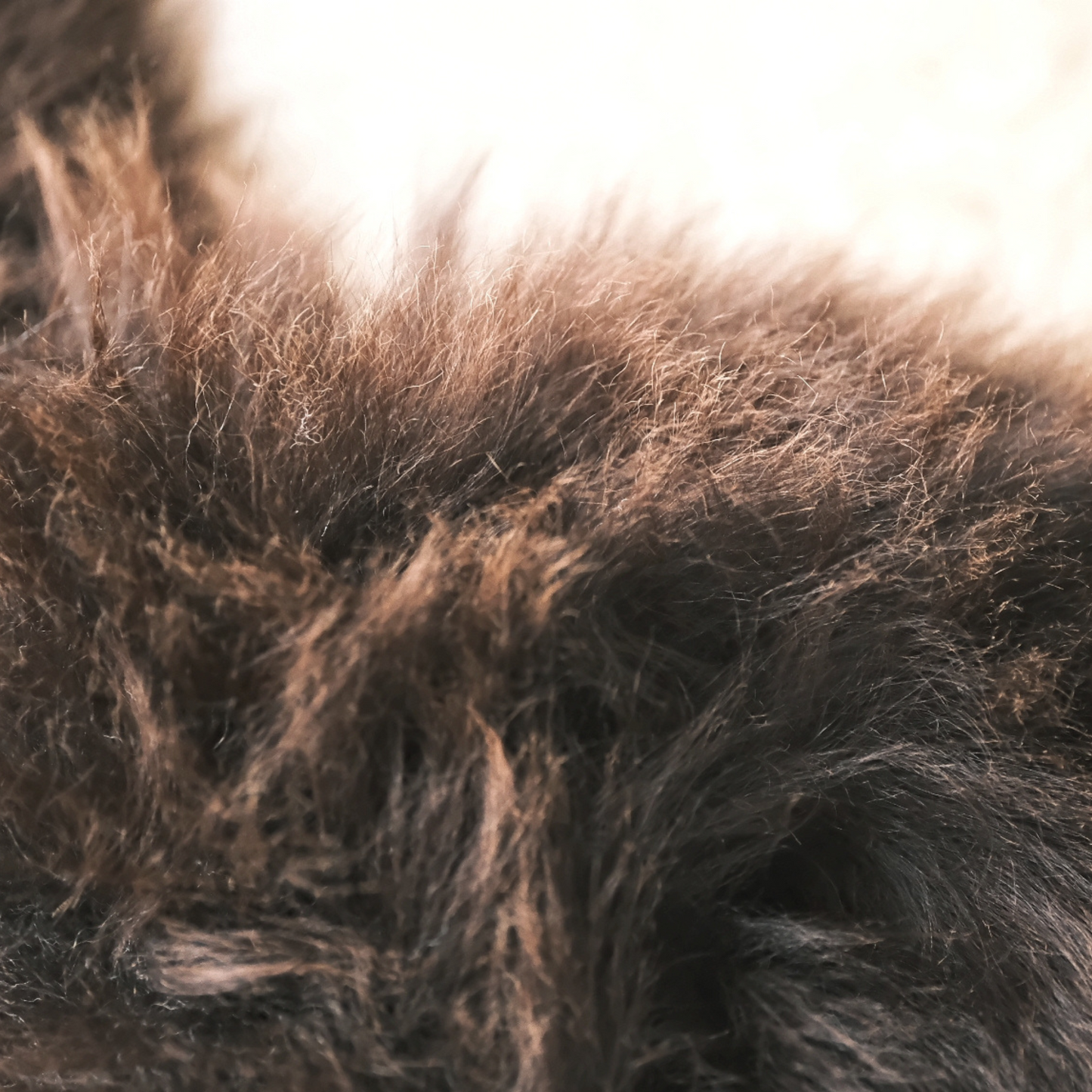 Small Sheepskin Snuggle in Brown