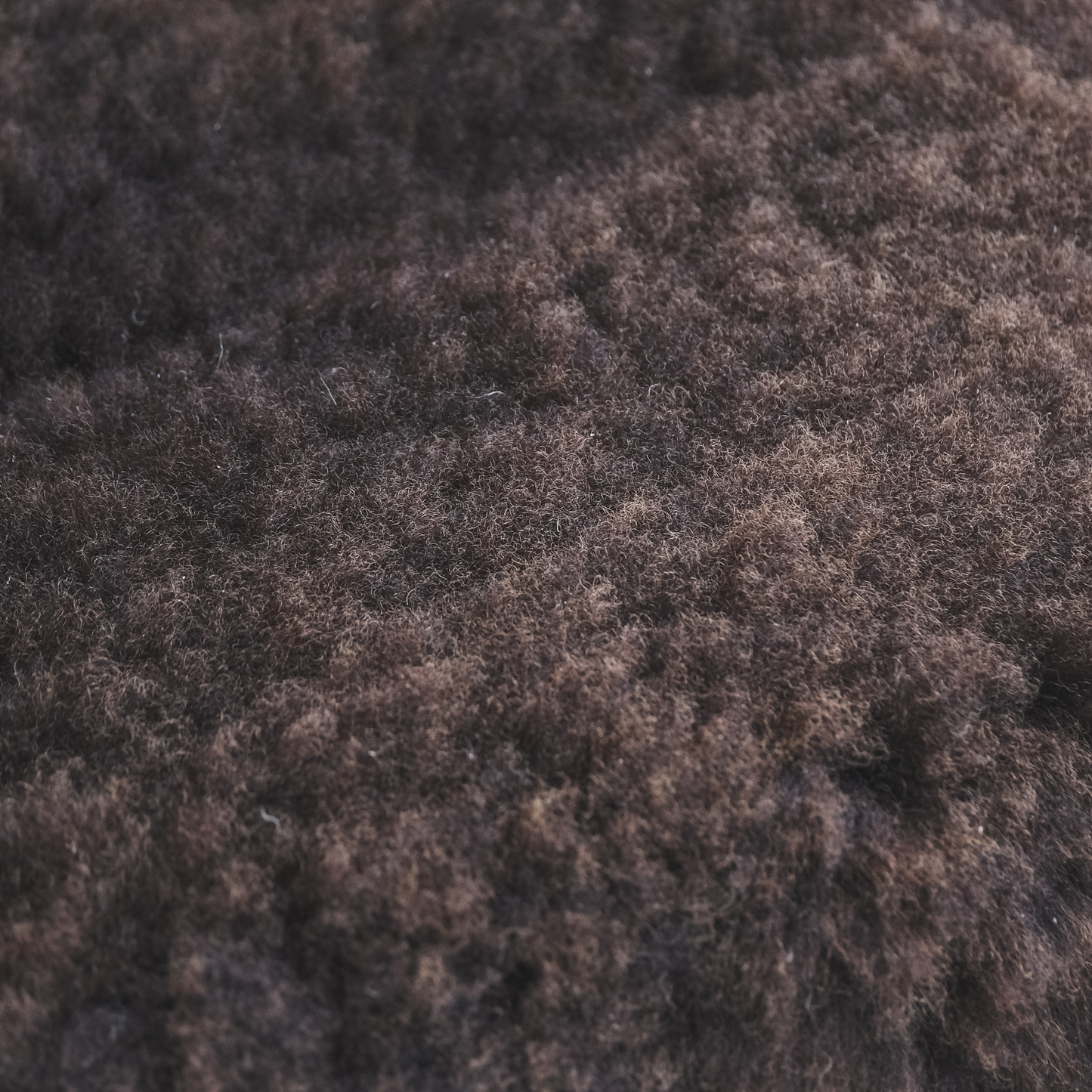 Mimosa Stirlingshire Large Brown