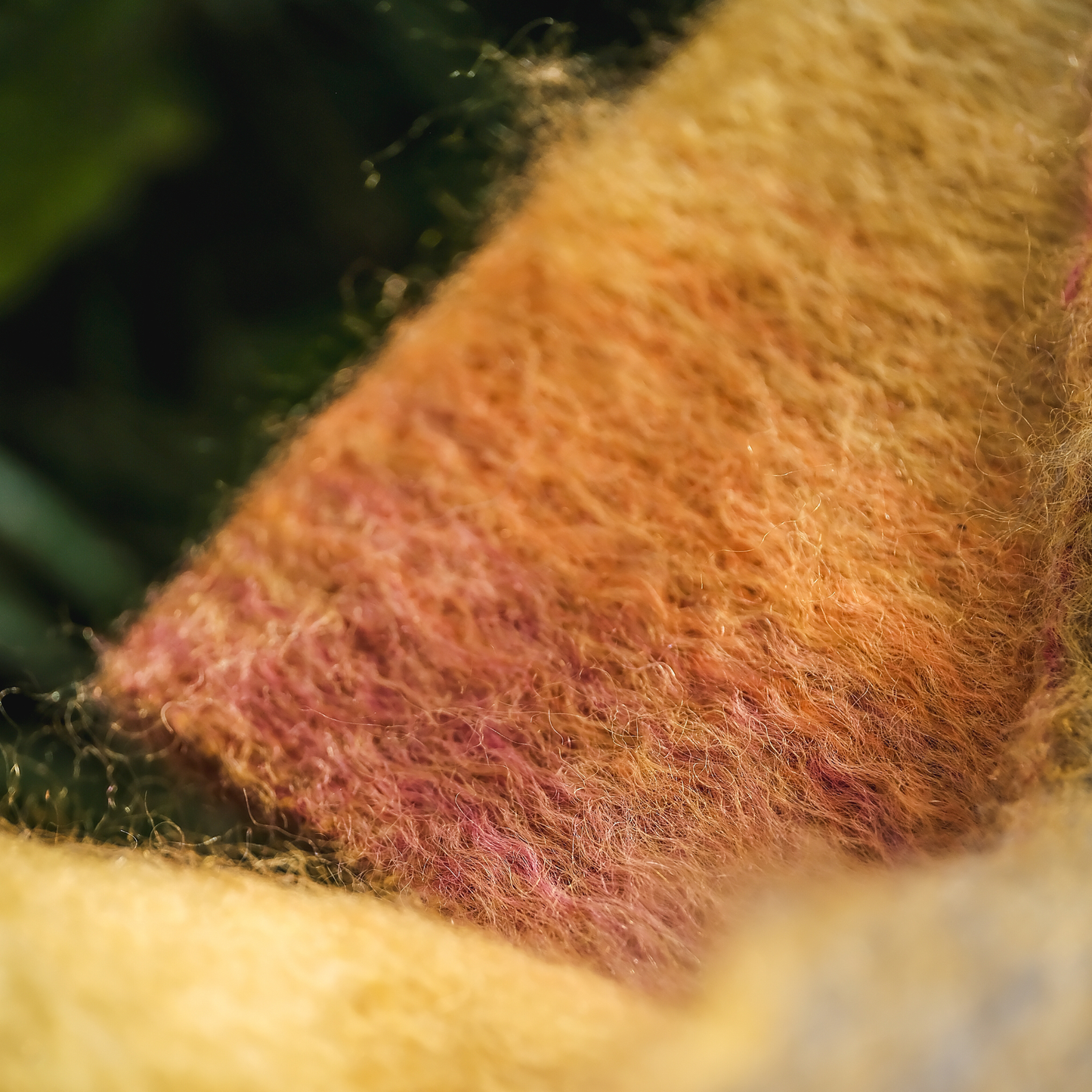 Mohair Scarf in Gold