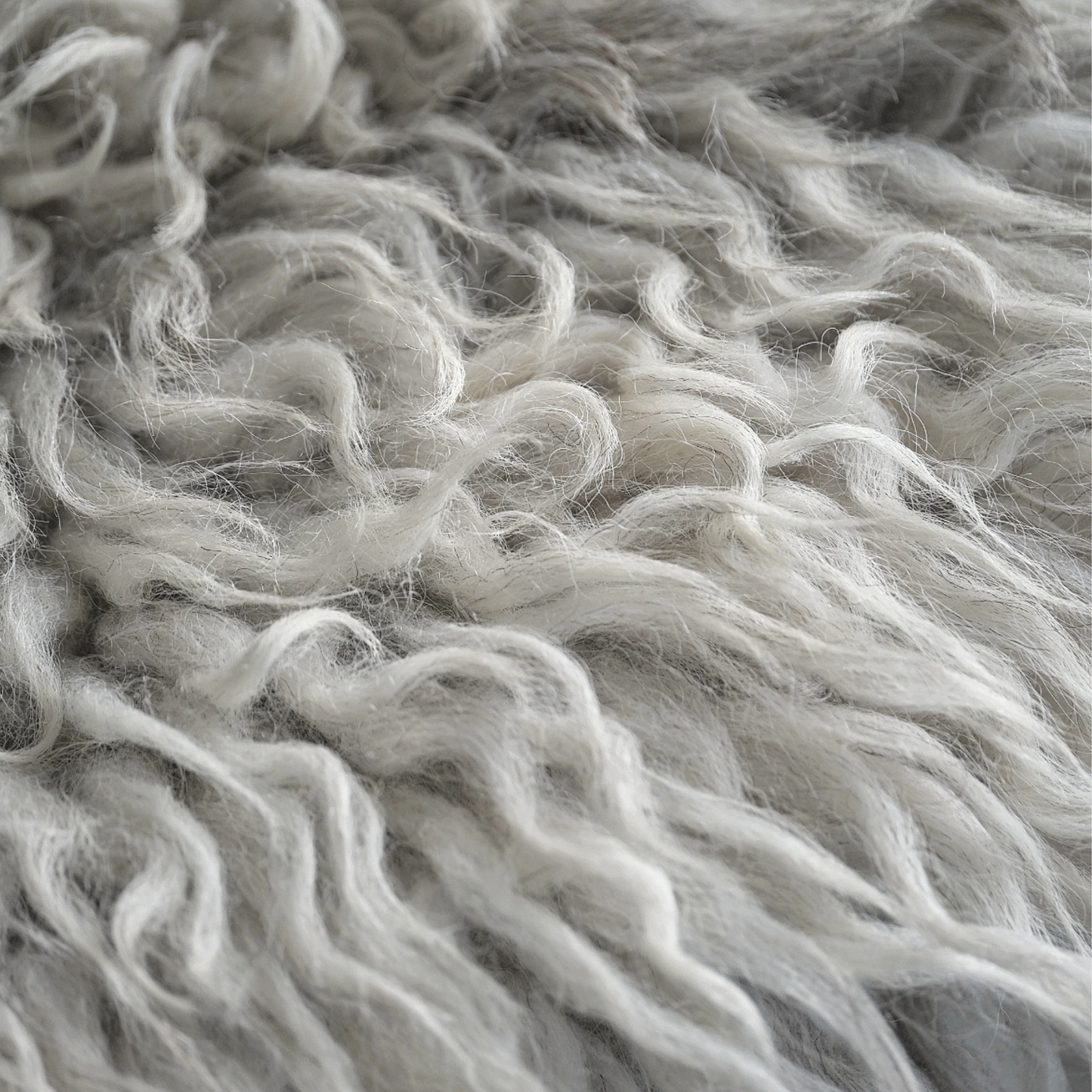 TÙS - Waternish Croft - The White