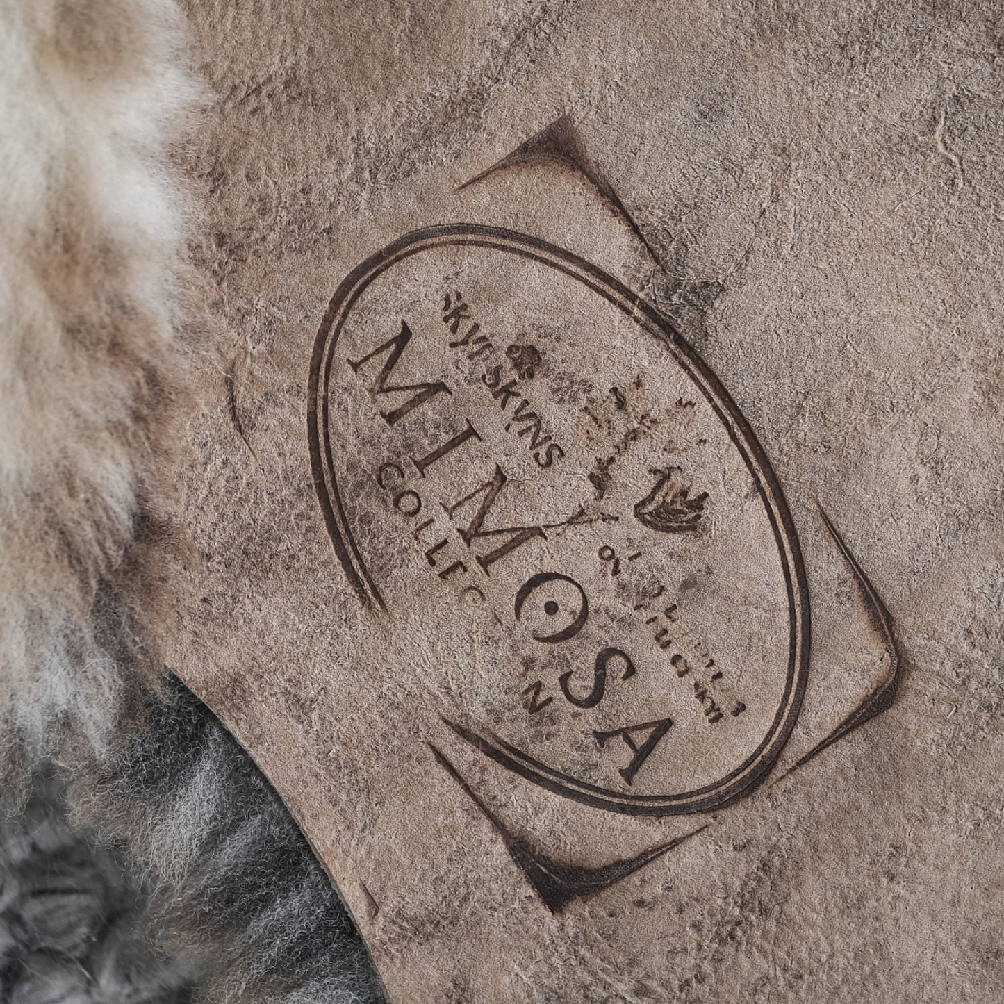 Mimosa Stirlingshire Medium White