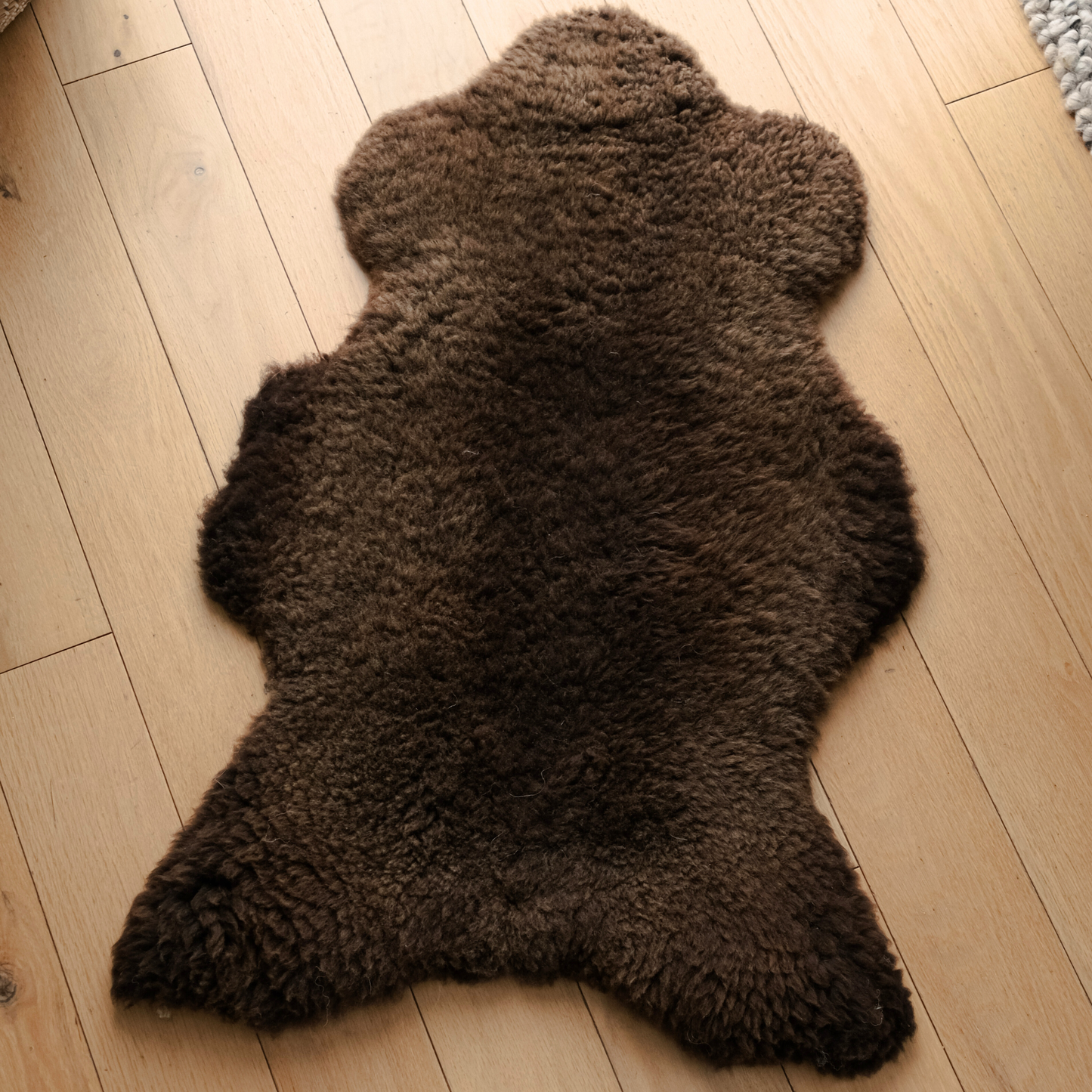 Mimosa Stirlingshire Medium Brown