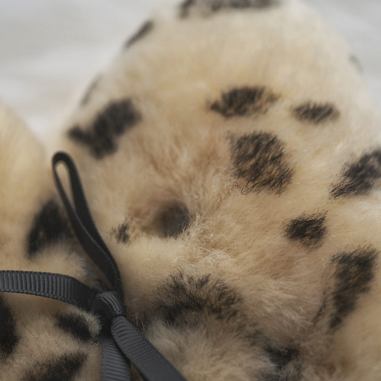 Flatout Bear Baby Leopard