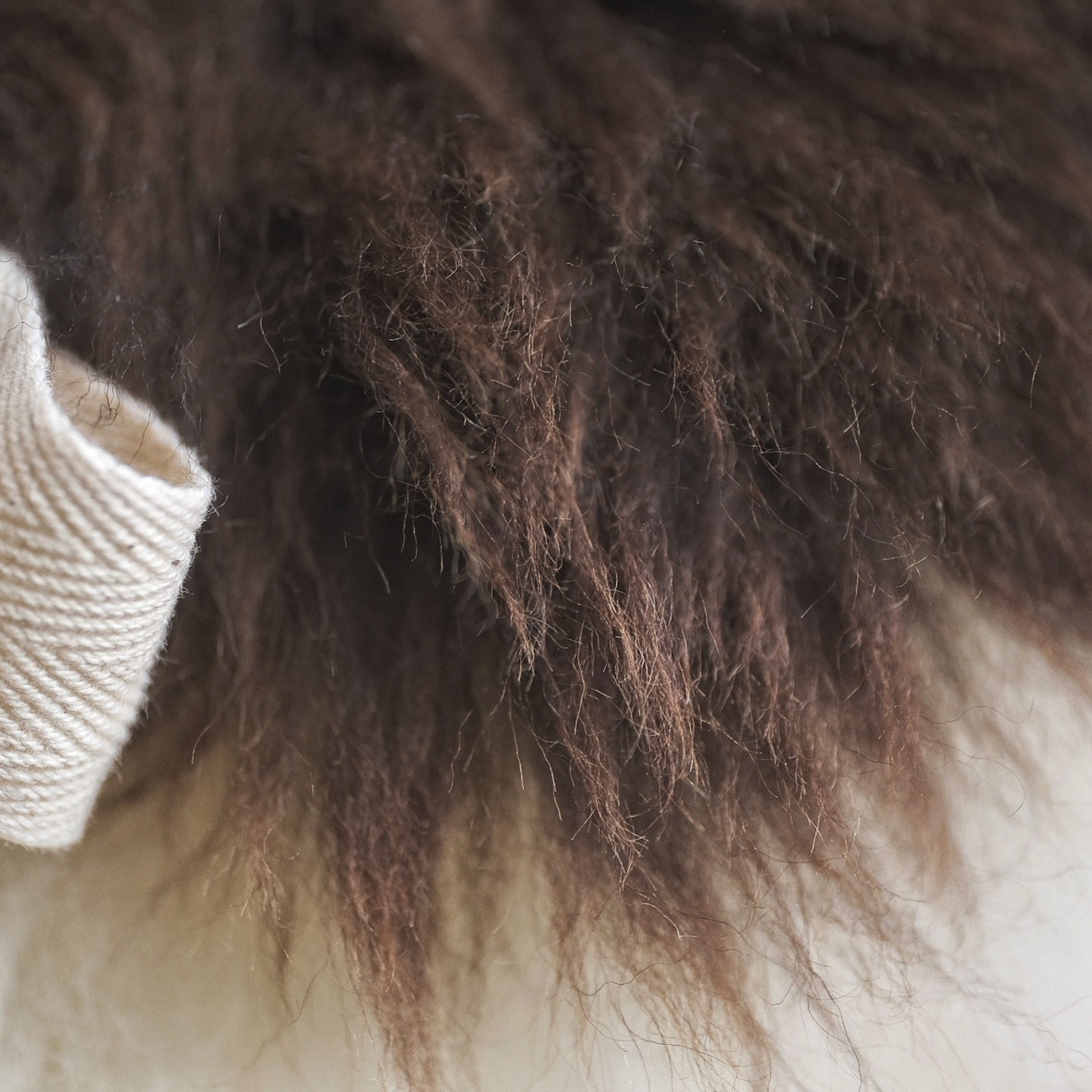Large Sheepskin Snuggle in White with Brown Lid