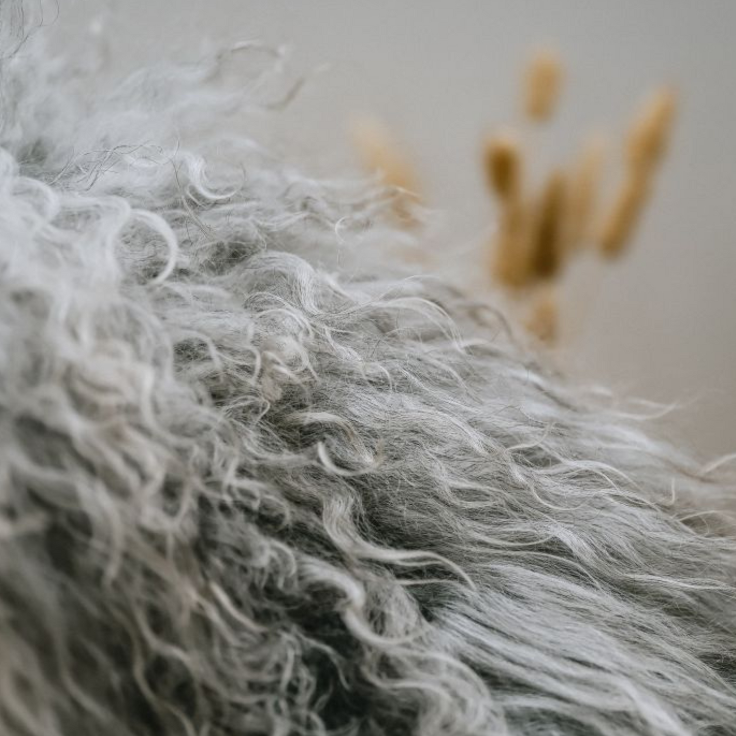 Light Norse XL Sheepskin Rug / Throw