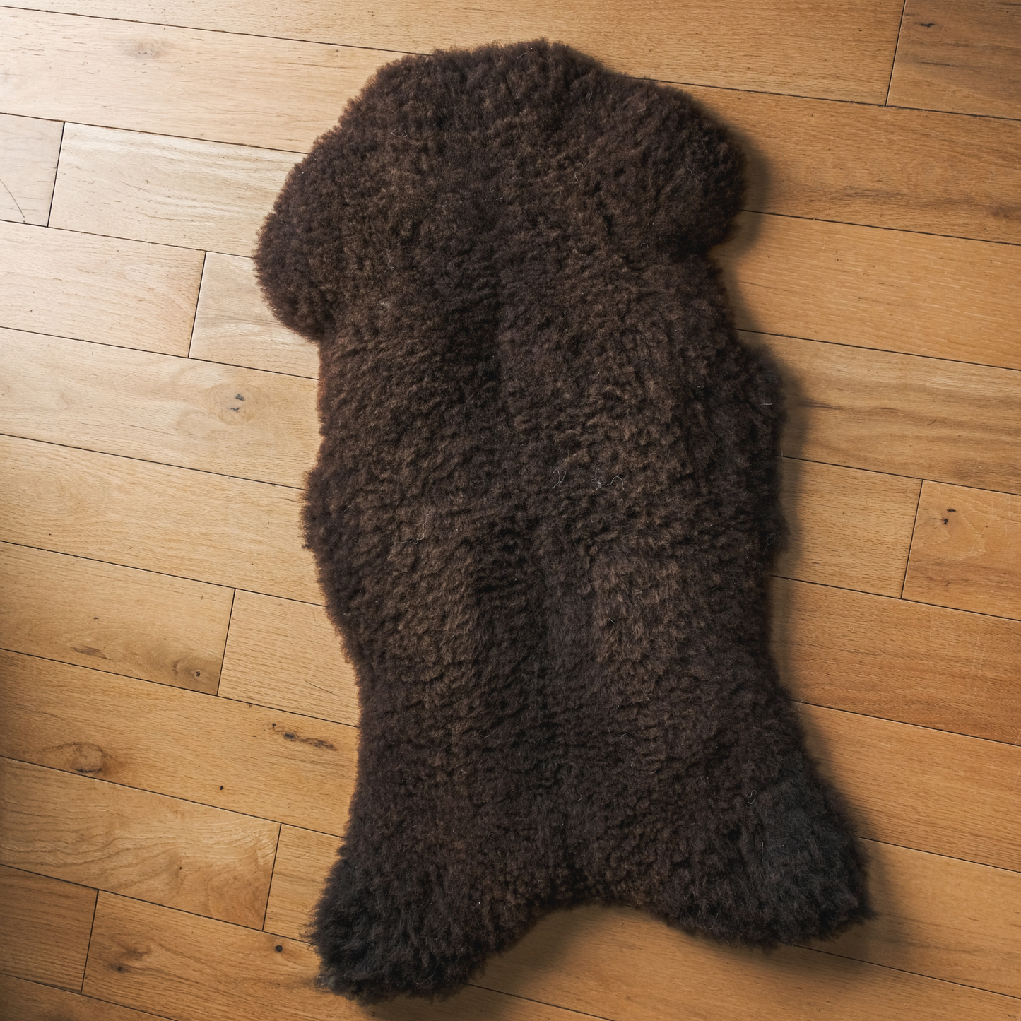 Mimosa Stirlingshire Large Brown