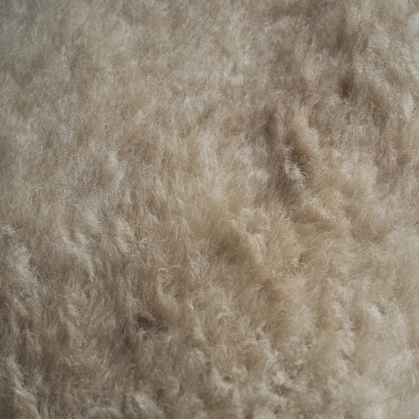 Mimosa Stirlingshire Medium White