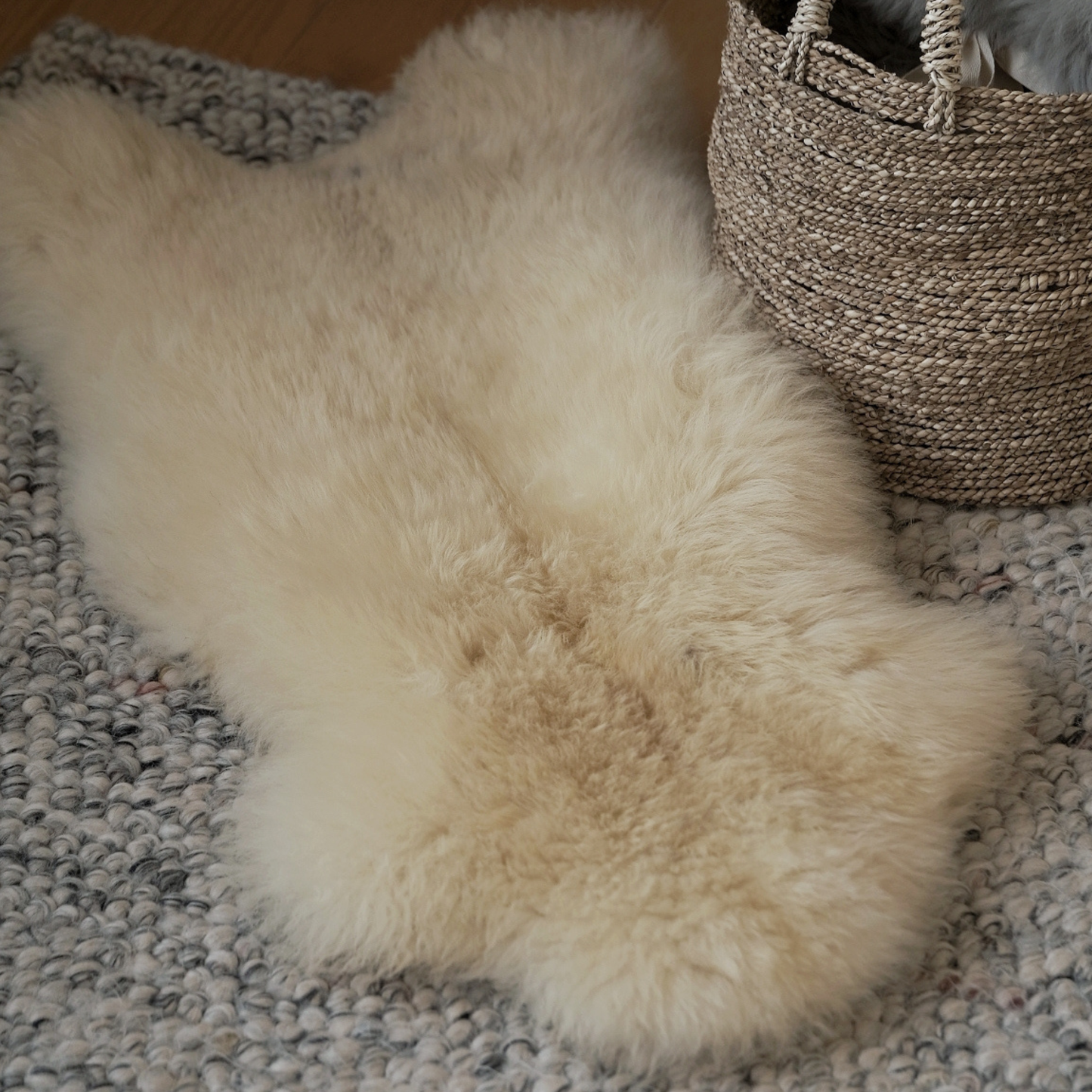 Mimosa Medium White Highland